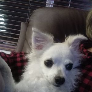 Meet your Posher, Fran